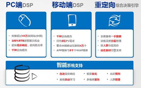新数网络